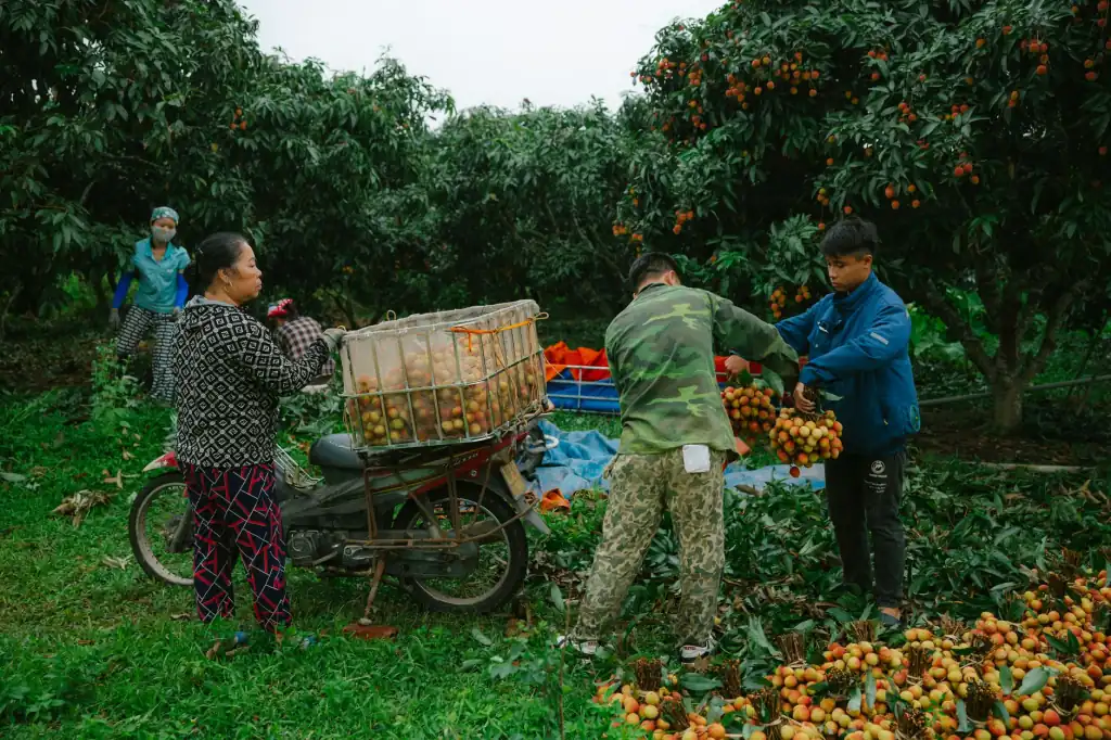 工业废气处理工程中RTO与RCO技术选型对比分析