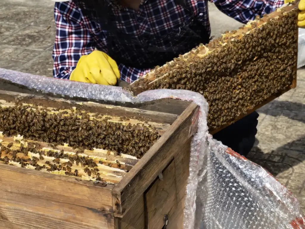 陕西工业废水处理工程工艺选型要点与达标排放实践