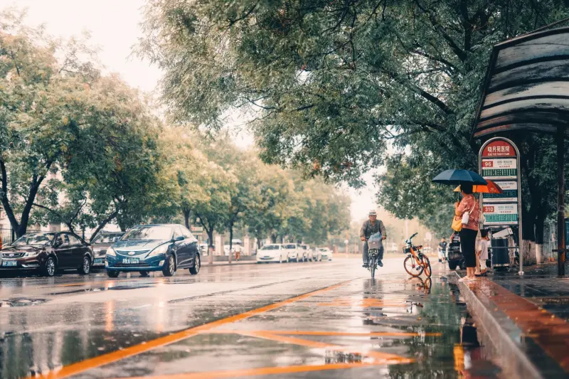 废气处理工程中吸附法与催化燃烧法的适用场景对比分析正文配图 1